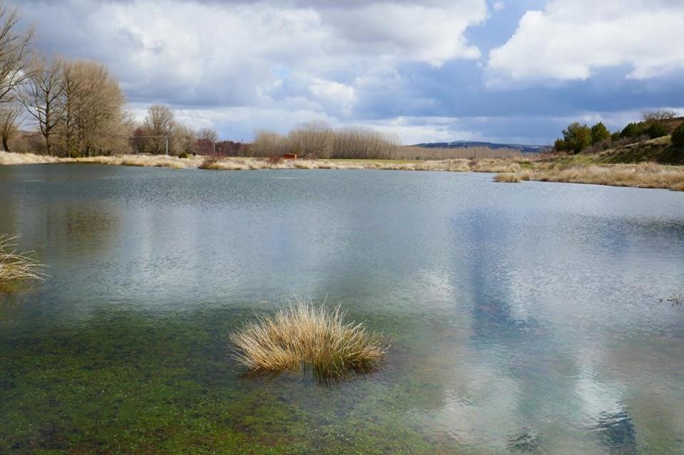 Penzion El Perfume Del Almendro Quintanilla del Agua Exteriér fotografie